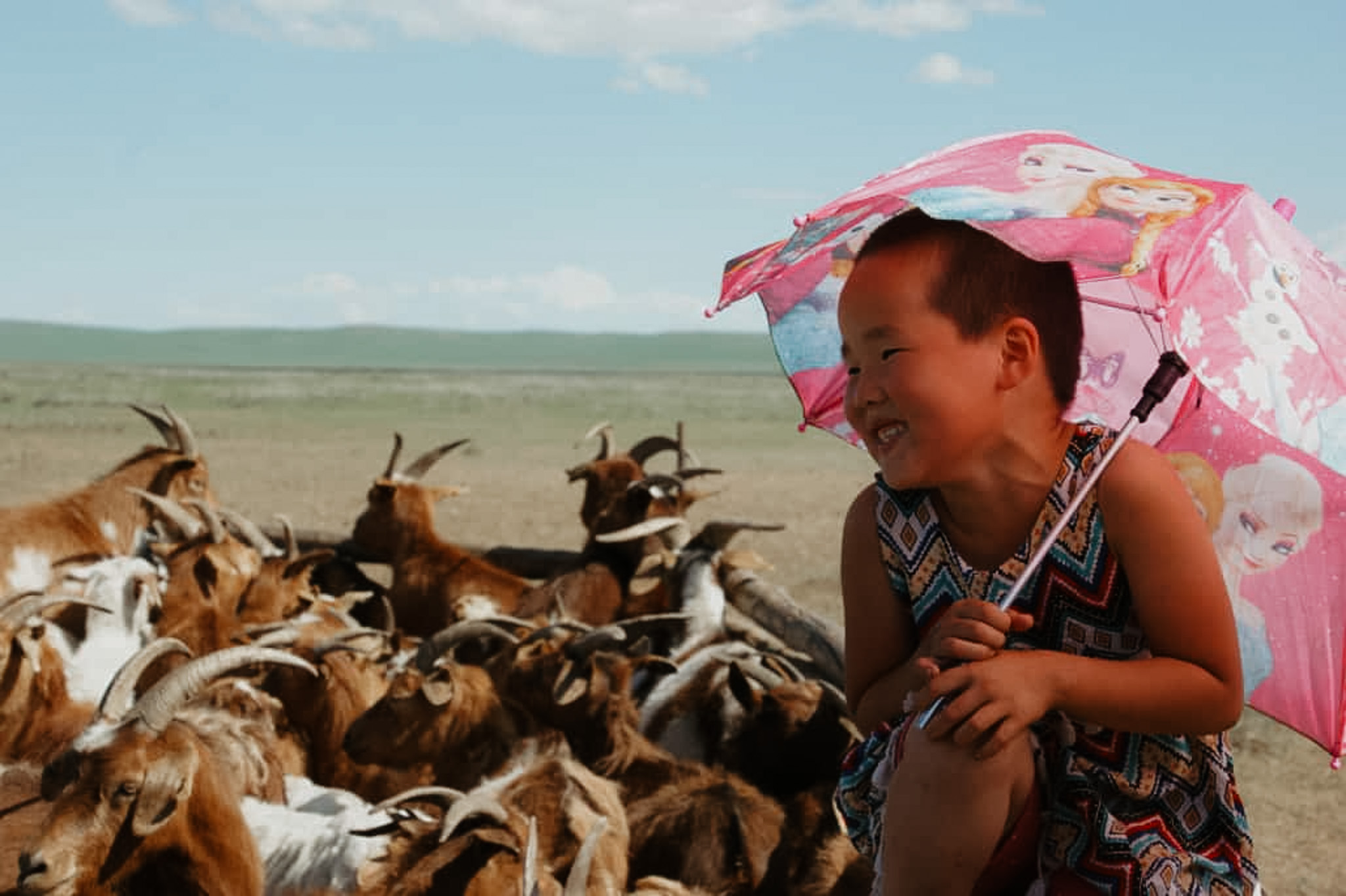 The Origins of Cashmere: Where It Comes From and Why It’s Rare